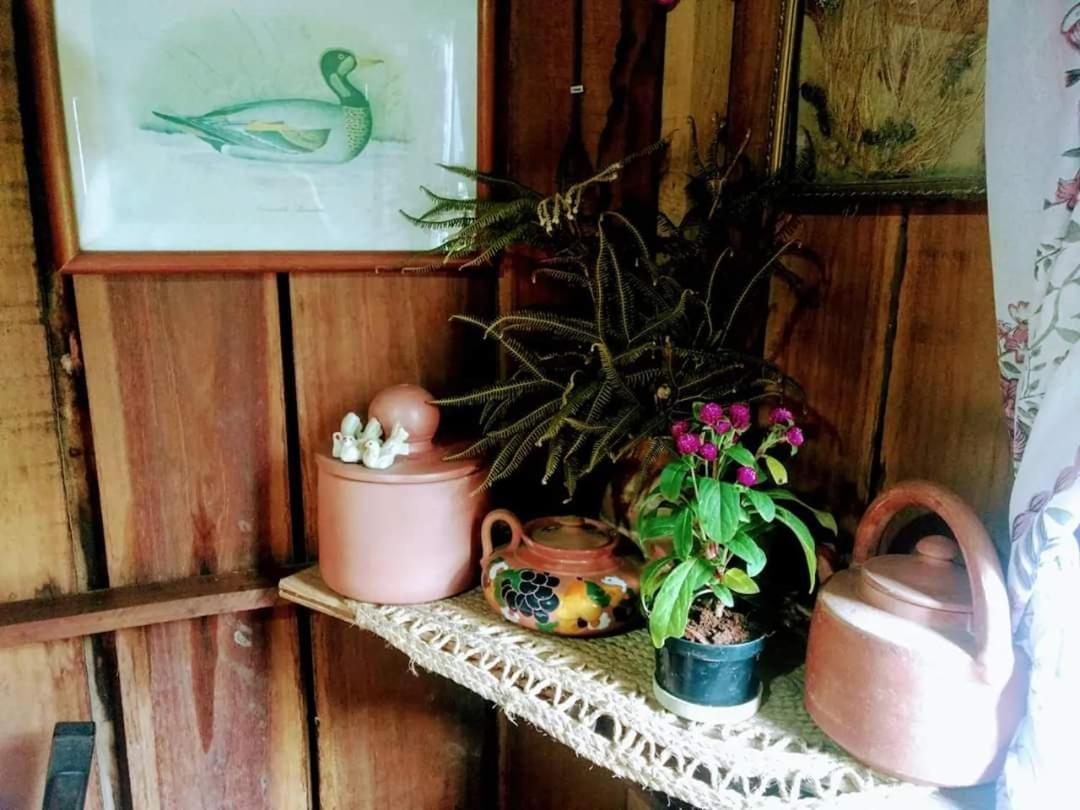 오조리우 Cabana Rustica Calabresi 빌라 외부 사진